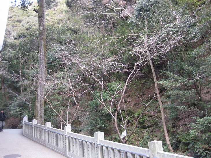 f0179209_11145622.jpg