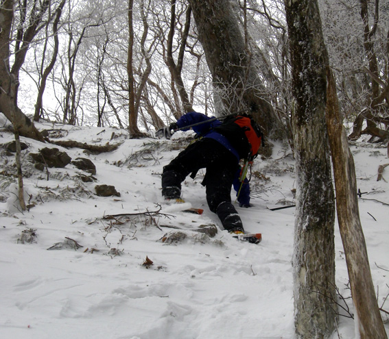 12.01.10（火）　氷ノ山ハイキングその3_a0062810_21304362.jpg