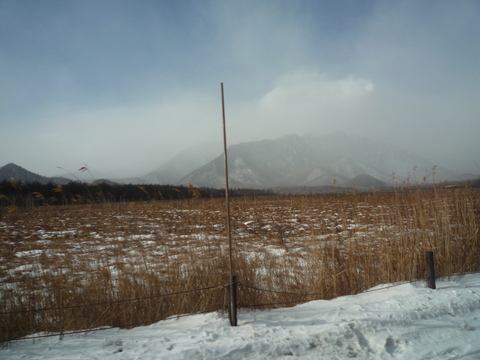 b0176010_1220740.jpg