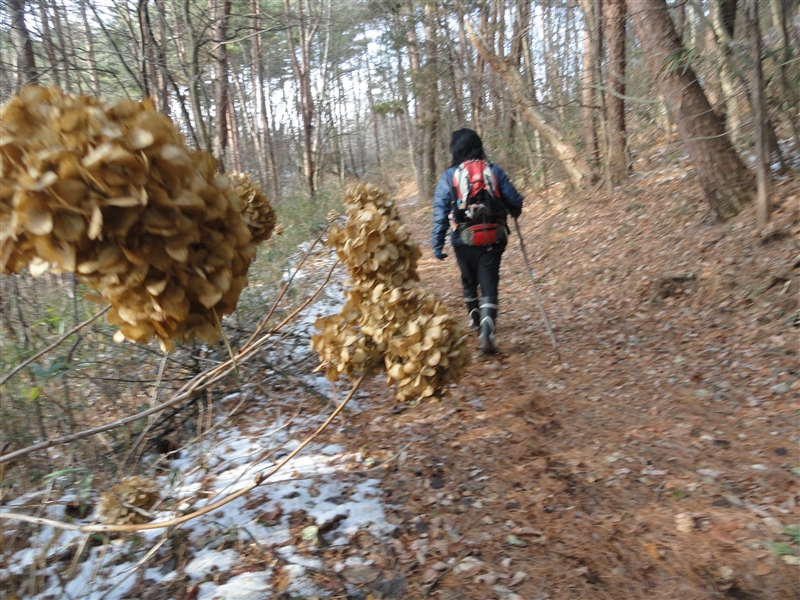 阿武隈川を垣間見て登る新春のお山_a0127015_20301853.jpg