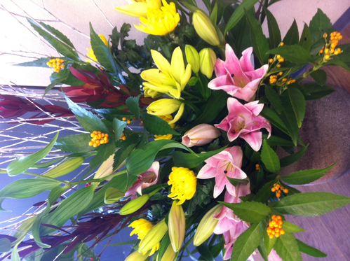 今週のお花&セール情報_a0200423_1834543.jpg