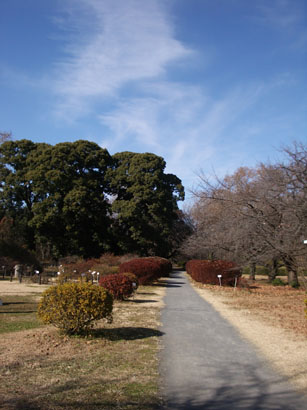 a0200624_1321082.jpg
