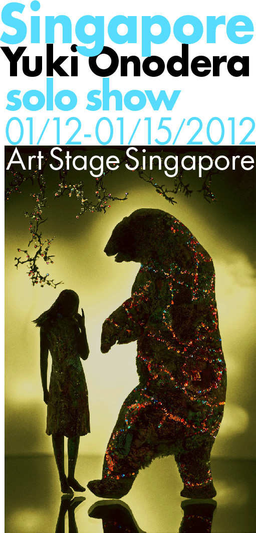 東川賞受賞作家 オノデラユキ氏 art stage singapore 2012 出展のお知らせ_b0187229_20483669.jpg