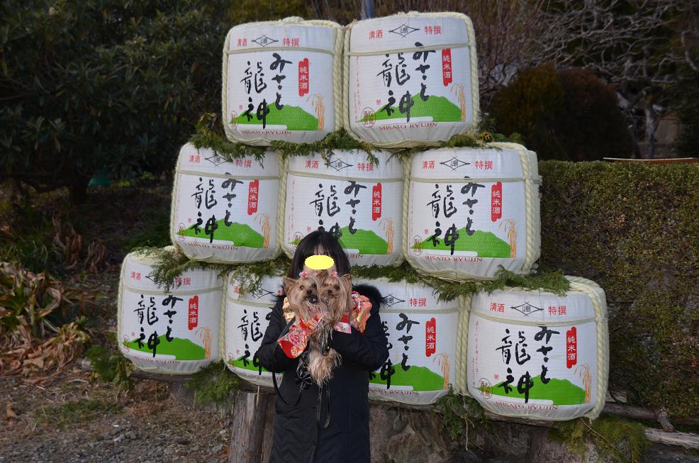 辰水神社さまのジャンボ干支  　　ぽ庵さん_f0124830_19368.jpg