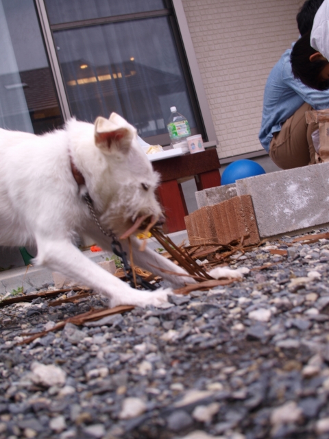 お食い初めをしましょう！３　～まかない編～_b0135432_84312.jpg