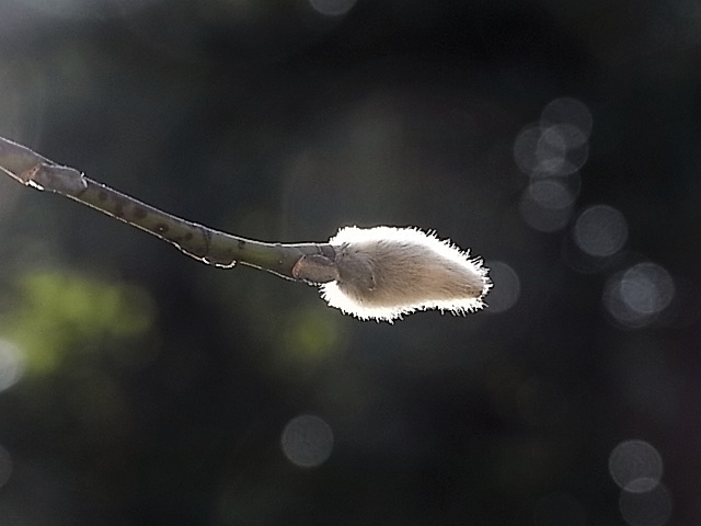 c0195134_13465150.jpg