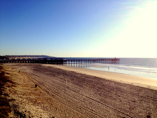 カリフォルニアらしい景色_c0201334_1013496.jpg