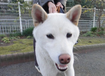 公園2のお友達_e0195743_3345015.jpg