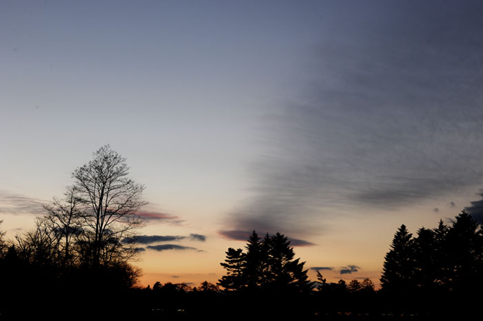 b0067346_0405161.jpg