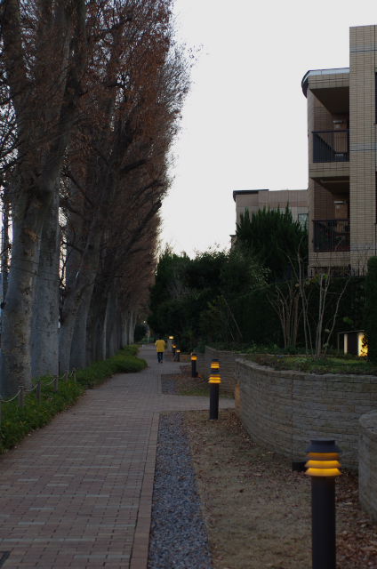 年末年始＝大宮八幡宮＝_b0177347_13171812.jpg