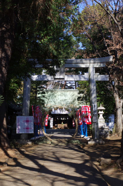 浜田山の氏神様_b0177347_13474549.jpg