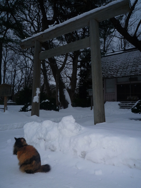 纏神社_b0238249_20592537.jpg