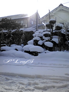 c0176651_1639772.gif