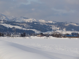 雪が晴れました_a0084753_18112132.jpg