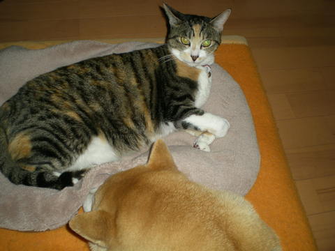 2012年1月10日(火)今日もハッピーな愛ちゃんと心ちゃん!?_f0060461_1554353.jpg