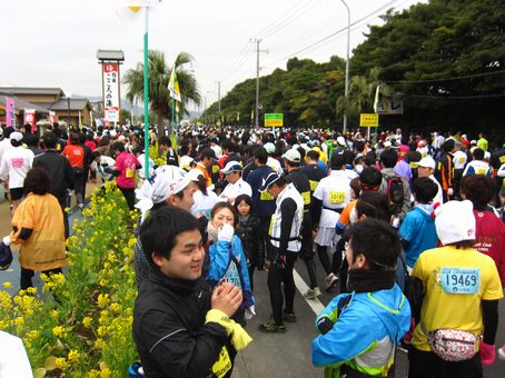 週末は南国へ・・・　いぶすき菜の花マラソン　奮走記_c0109663_11582829.jpg