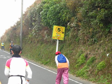 週末は南国へ・・・　いぶすき菜の花マラソン　奮走記_c0109663_11595986.jpg