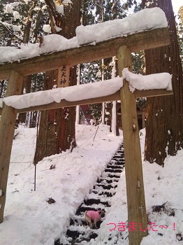 老犬神社へ・・・♪_b0197865_15271148.jpg