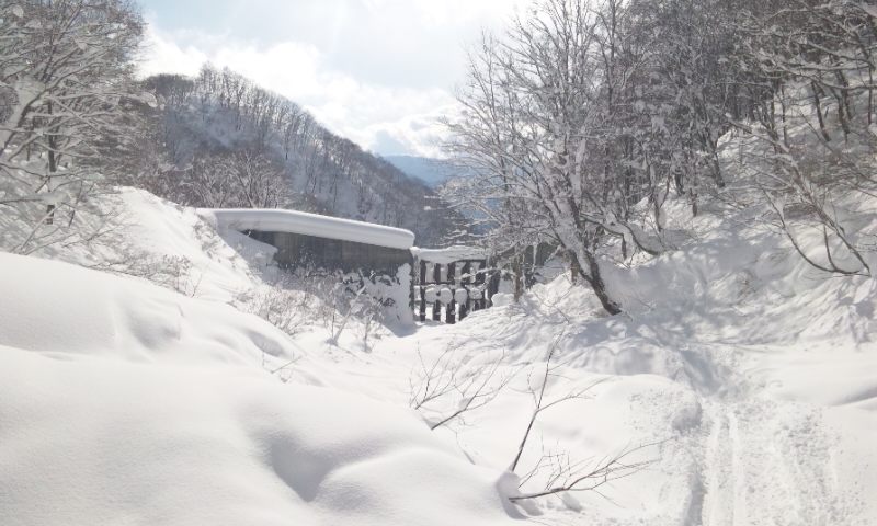 b0164568_8255963.jpg