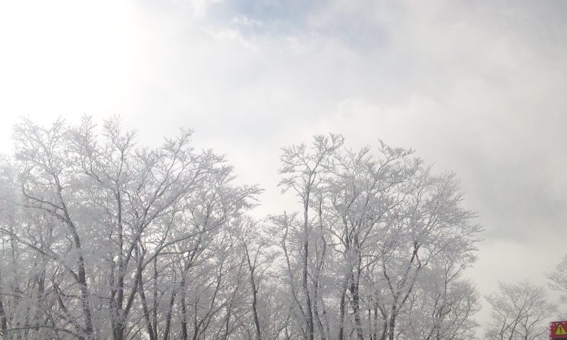 b0164568_8282766.jpg