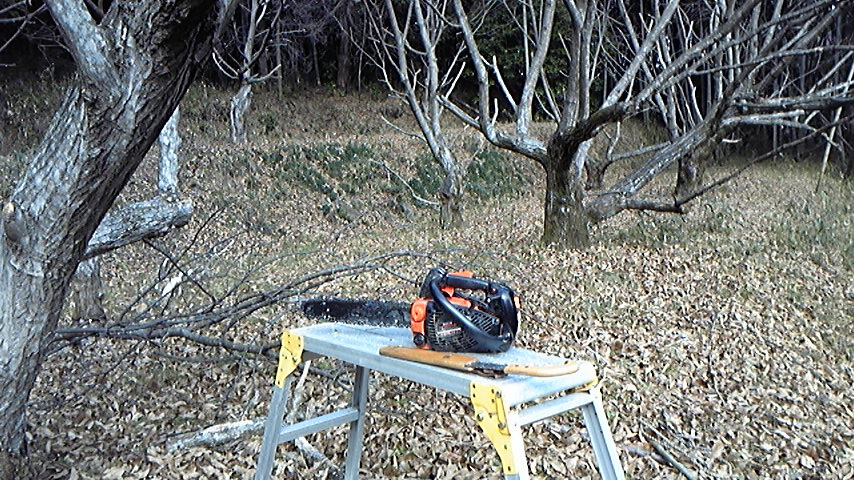 b0224178_20561962.jpg