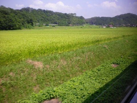真夏の中国地方ローカル線1 (山陰本線/伯備線)_b0005281_21405797.jpg