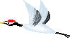 b0136683_831242.gif