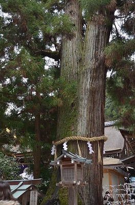 三輪明神　大神神社・「薄明光線」_c0229483_19501718.jpg