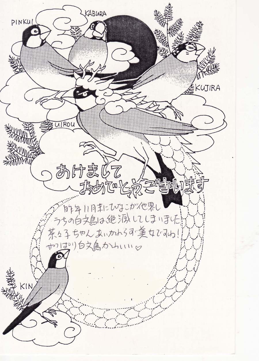 今市子氏よりの年賀状 ちょっと撮り