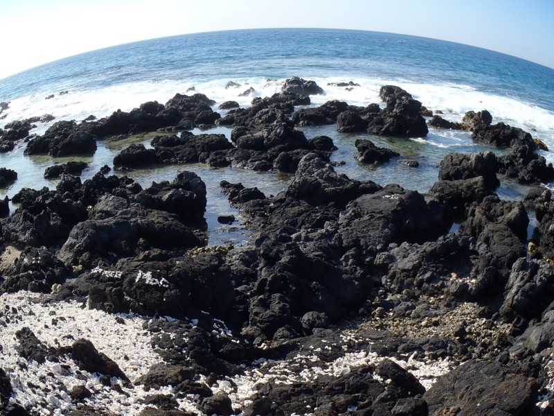 c0221993_9105157.jpg