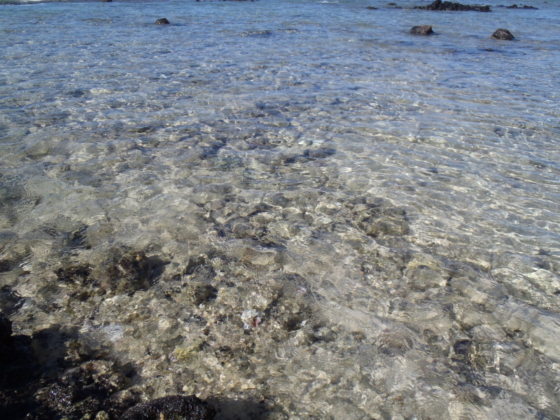 c0221993_993377.jpg