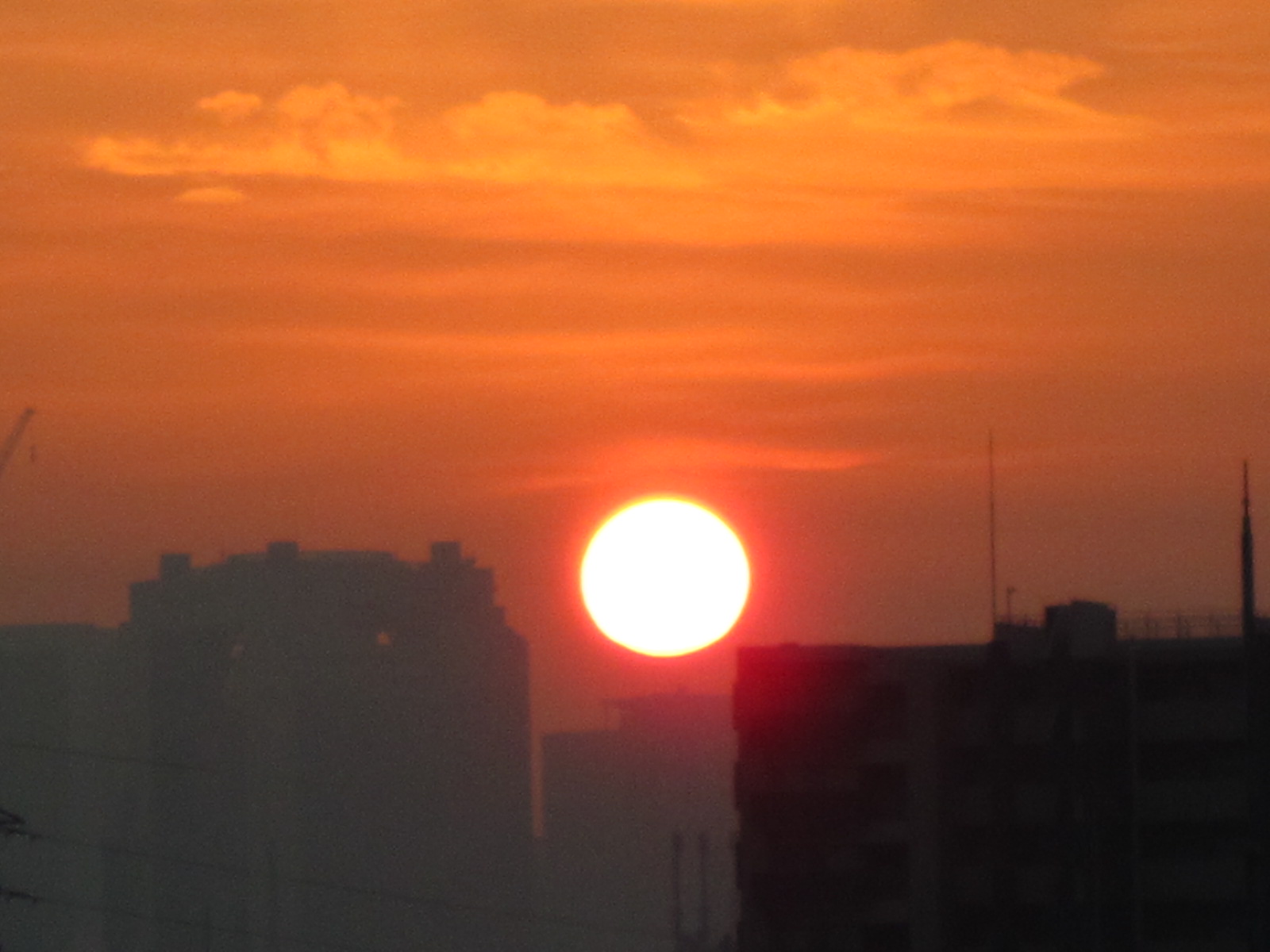 f0204295_1653779.jpg