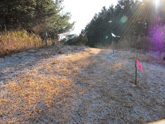 筑豊の山を登る～牛斬山と香春岳（三ノ岳）　2012.1.8_a0166196_103037.jpg