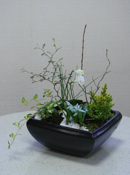 和風モダンな寄せ植え（アトリエおだきゅう）_f0054197_5373791.jpg