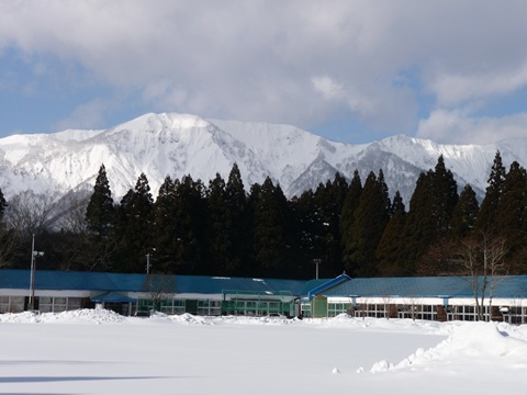 a0138198_15381036.jpg
