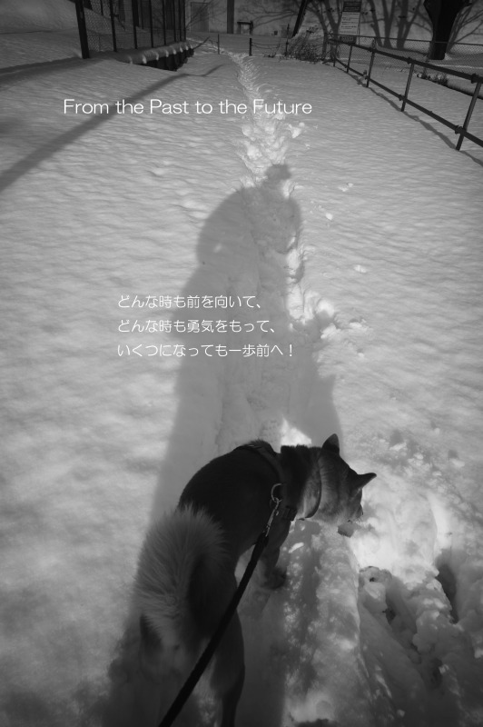 第7回三人展 “Across the Time.”　　WEBカタログ_c0082800_18172717.jpg