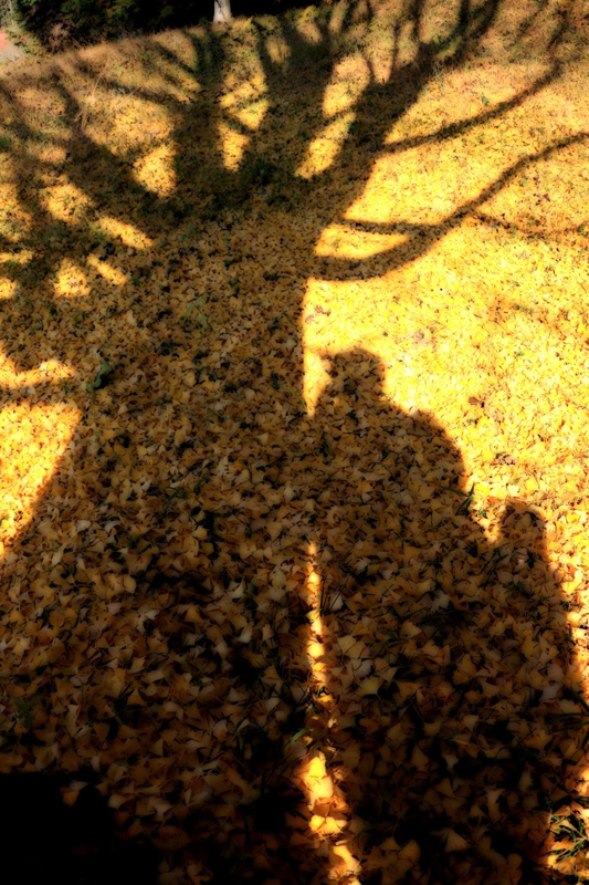 ネタ無しなので過去写真をvol.2_a0189203_21543634.jpg