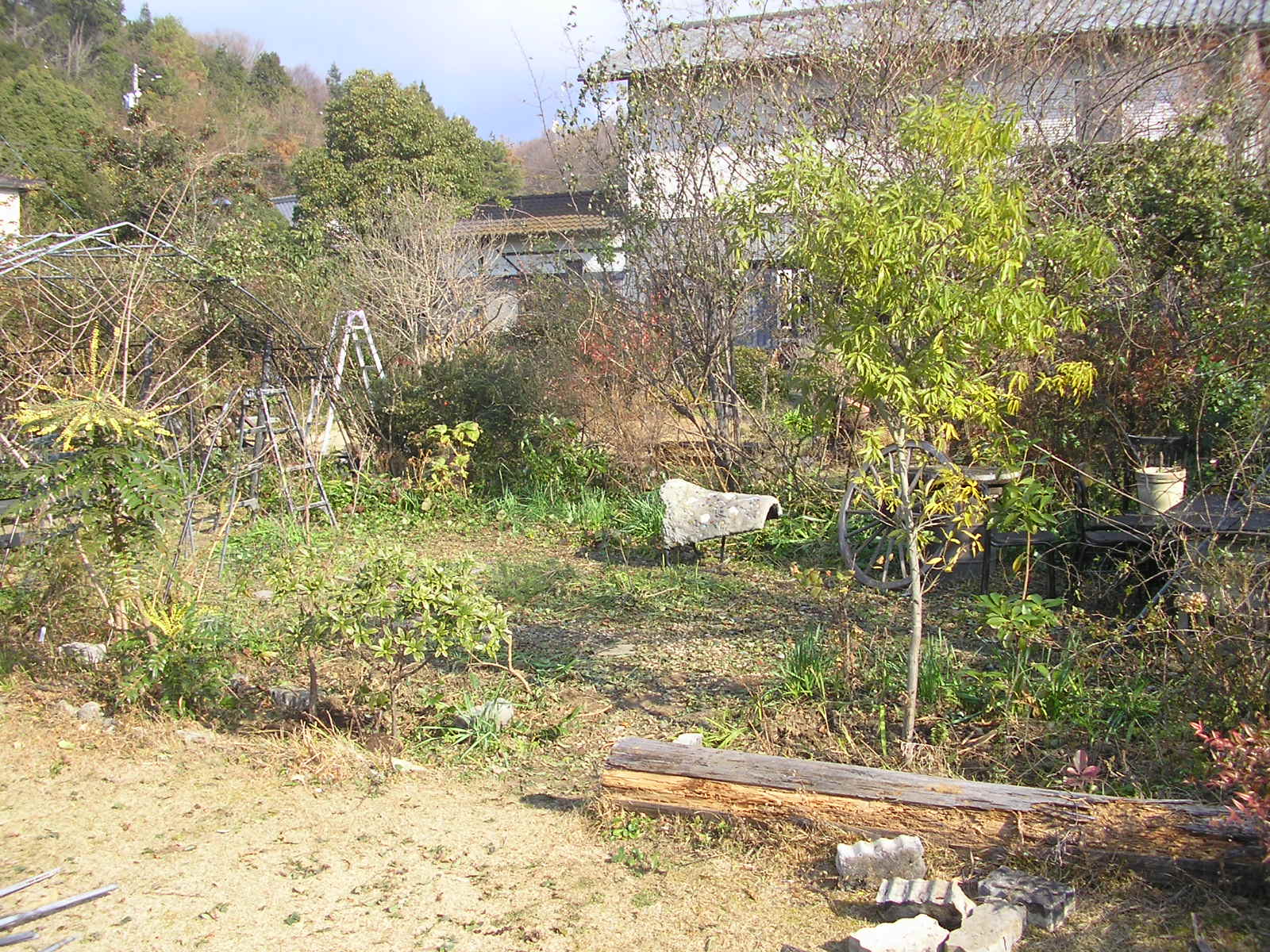 c0156104_22471100.jpg