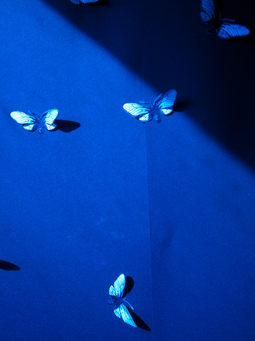 c0188405_22313385.jpg