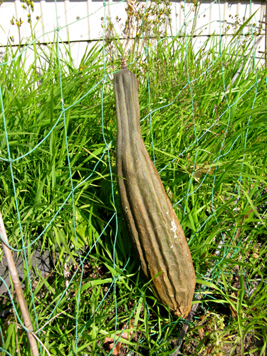 e0065906_12344751.jpg