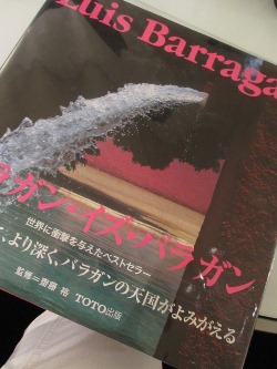 脳にビタミン、注入です↑↑_d0091909_812657.jpg