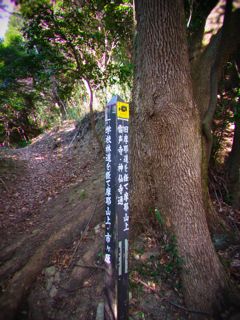 b0183911_0142664.jpg