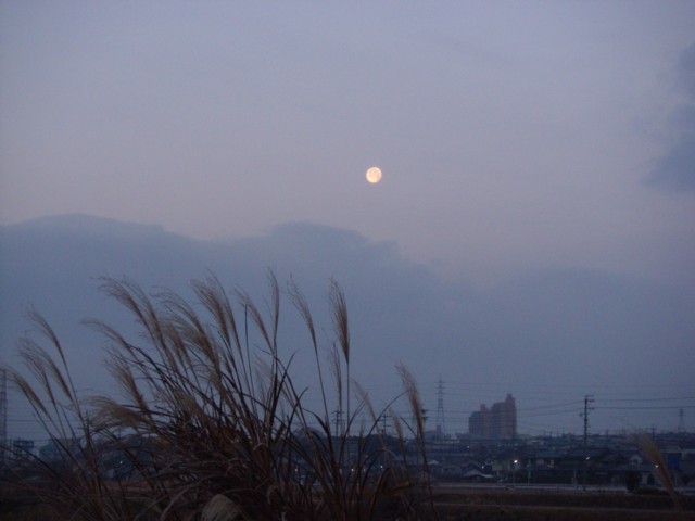 d0048812_1733015.jpg