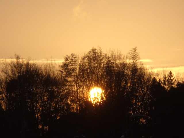 d0048812_1741026.jpg