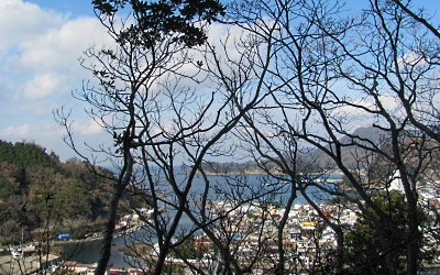 b0055215_921442.jpg