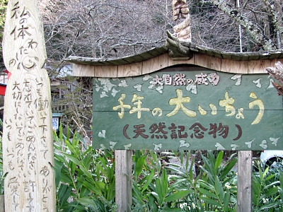 b0055215_973863.jpg