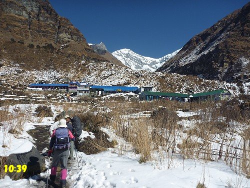 Deurali(3200m)からAnnapurna Bace Camp(4130m) へ,2-1_c0048117_1146041.jpg