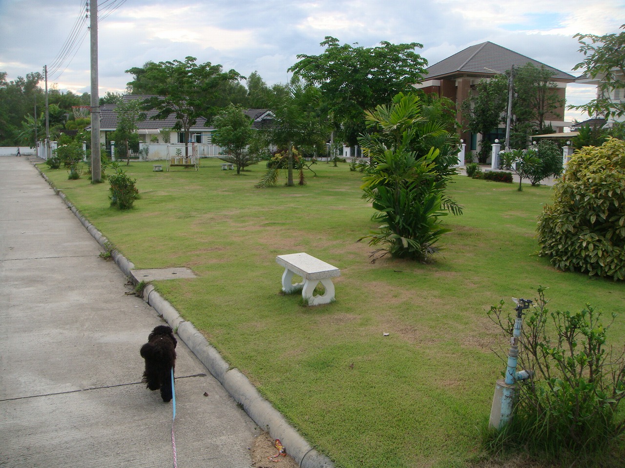 d0159325_033114.jpg