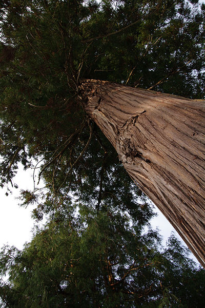 f0007926_16571759.jpg