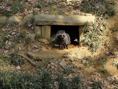 多摩動物公園2012・・・俺似の後姿_b0166128_177999.jpg